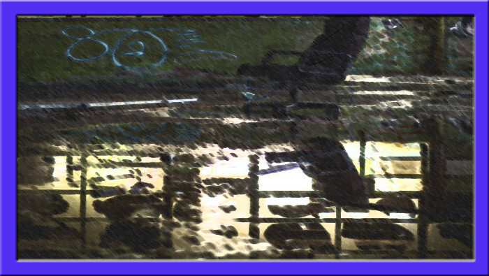 Image-Hazard-Flooding Image-Hazard-Flooding